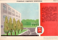 Плакат "Правильно содержите территорию" СССР, 1984 год артикул 2400c.